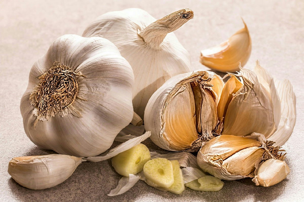 Welche Bedingungen braucht Knoblauch, um im Garten gesund zu wachsen und reichlich Ertrag zu liefern?